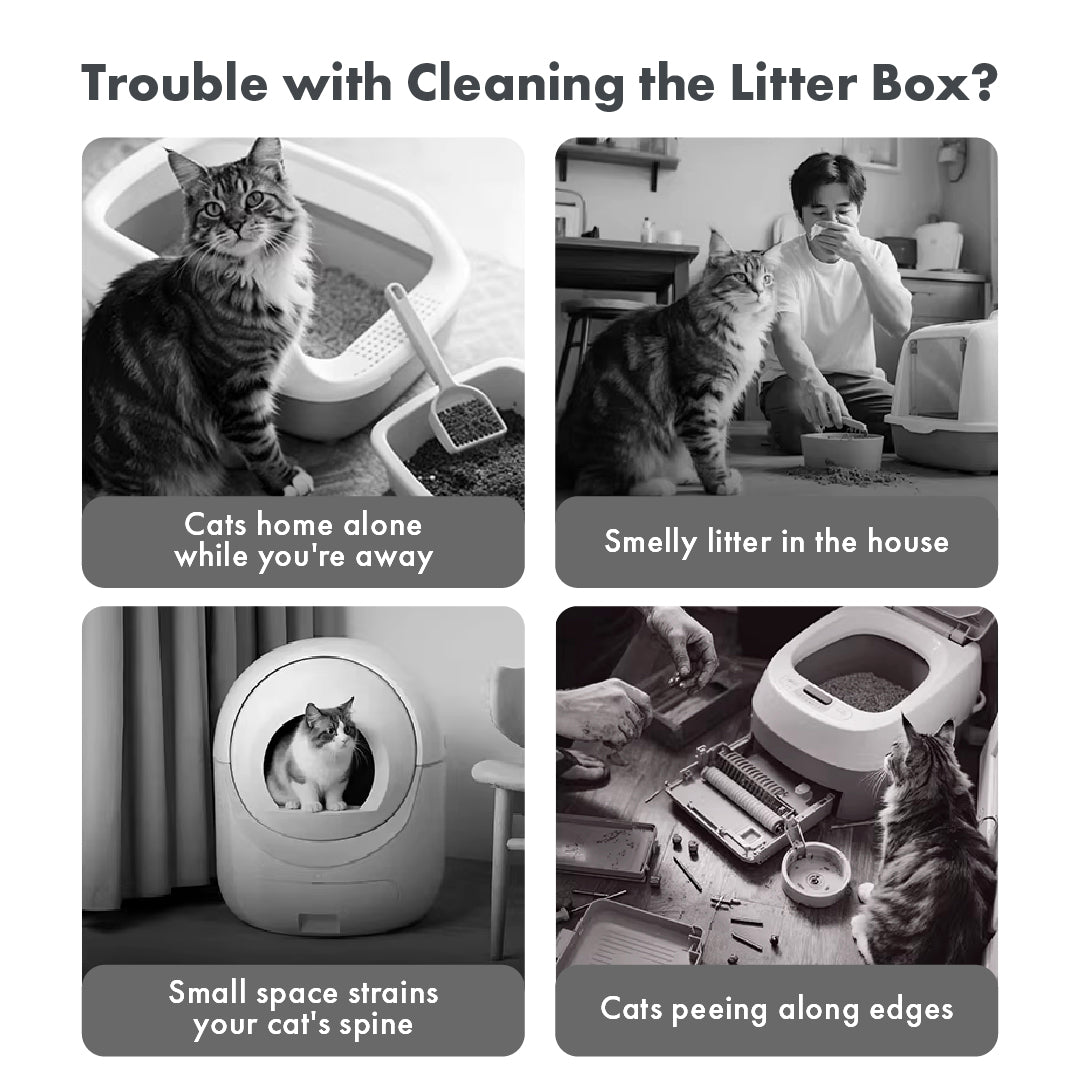 MOVA LR10 Prime Smart Pet Litter Box