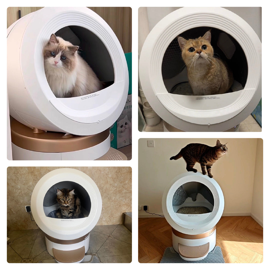 MOVA LR10 Prime Smart Pet Litter Box