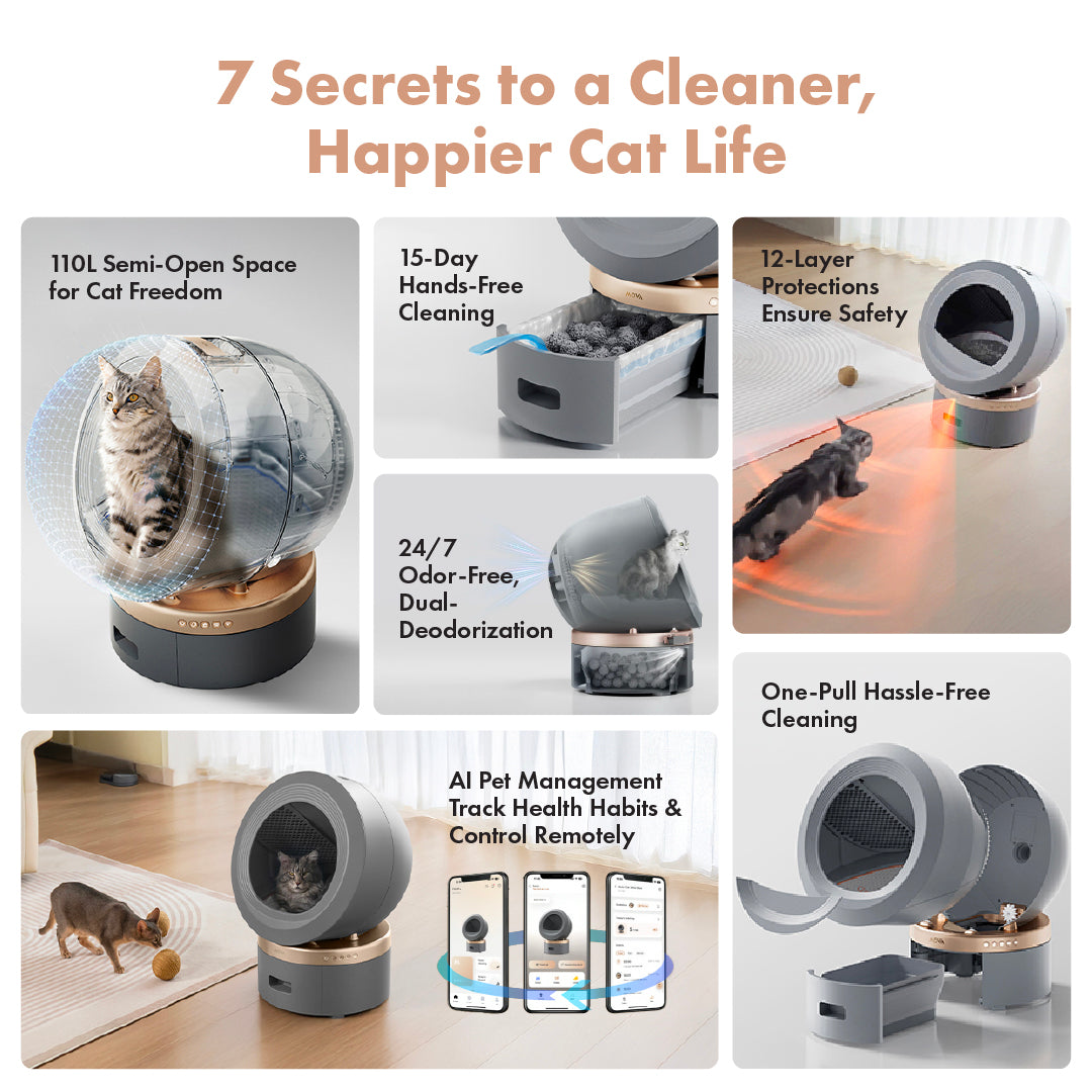 MOVA LR10 Prime Smart Pet Litter Box