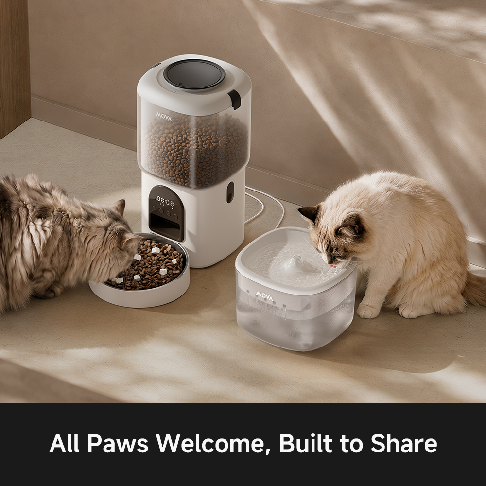DuoCare Pet Set (2-in-1 Feeder & Fountain)