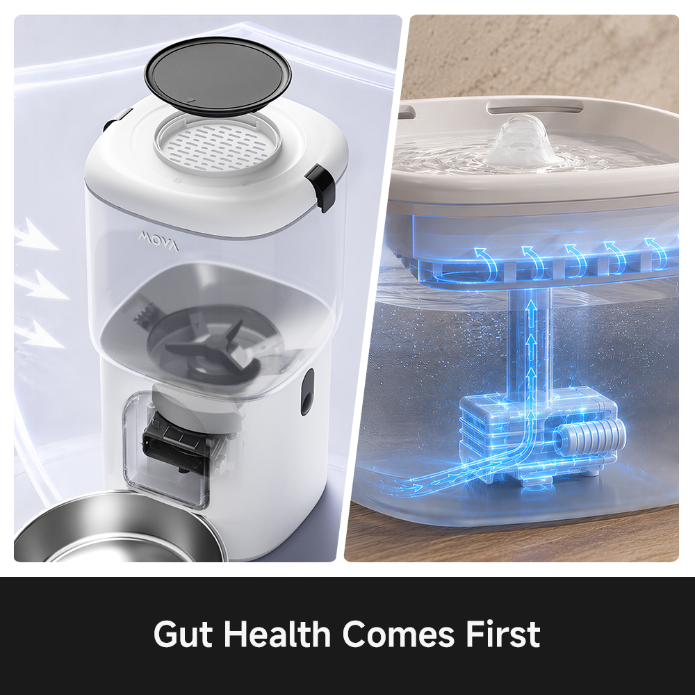DuoCare Pet Set (2-in-1 Feeder & Fountain)