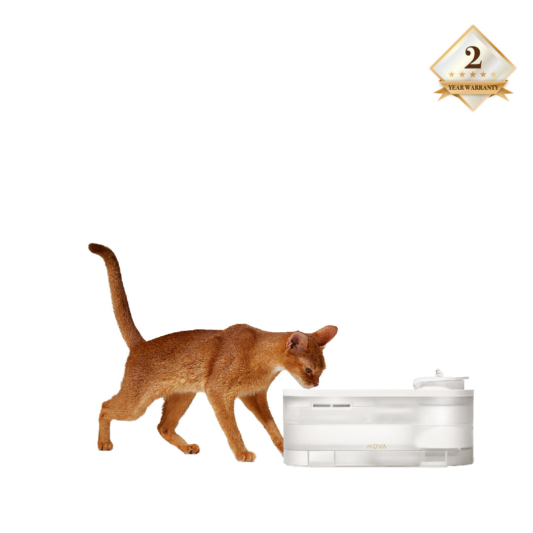MOVA WF10 Pro Pet Water Fountain