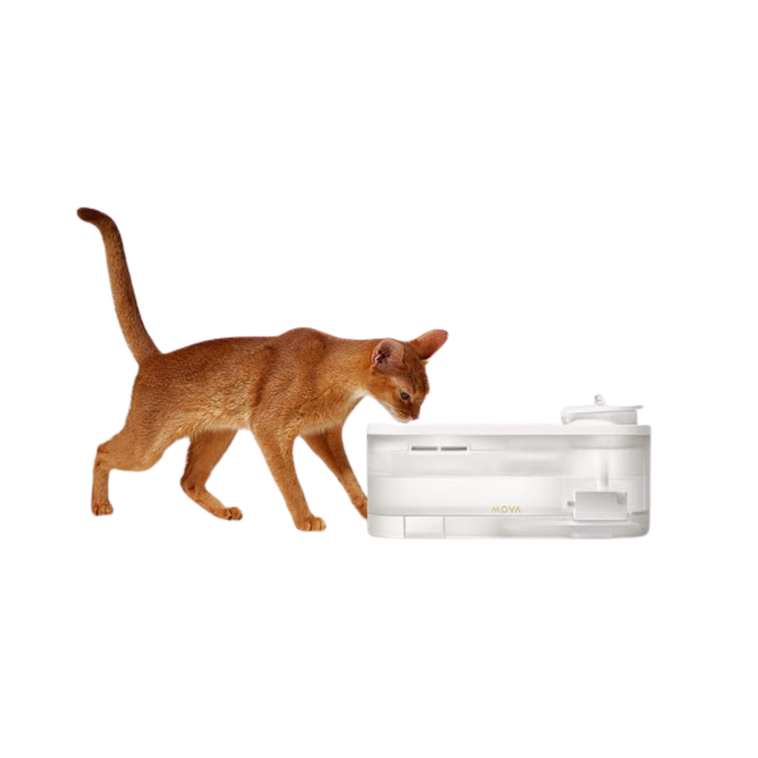 MOVA WF10 Pro Pet Water Fountain
